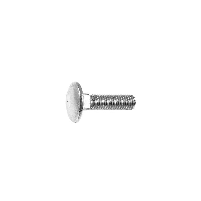 CARRIAGE BOLT M8X30 DIN603 A2